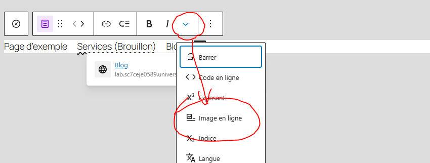 appel du menu image en ligne sur le lien du menu