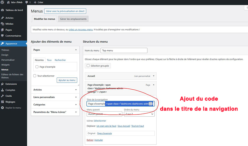 Méthode via le champ Titre de navigation et activation des Dashicons
Ajout du code dans le titre de la navigation