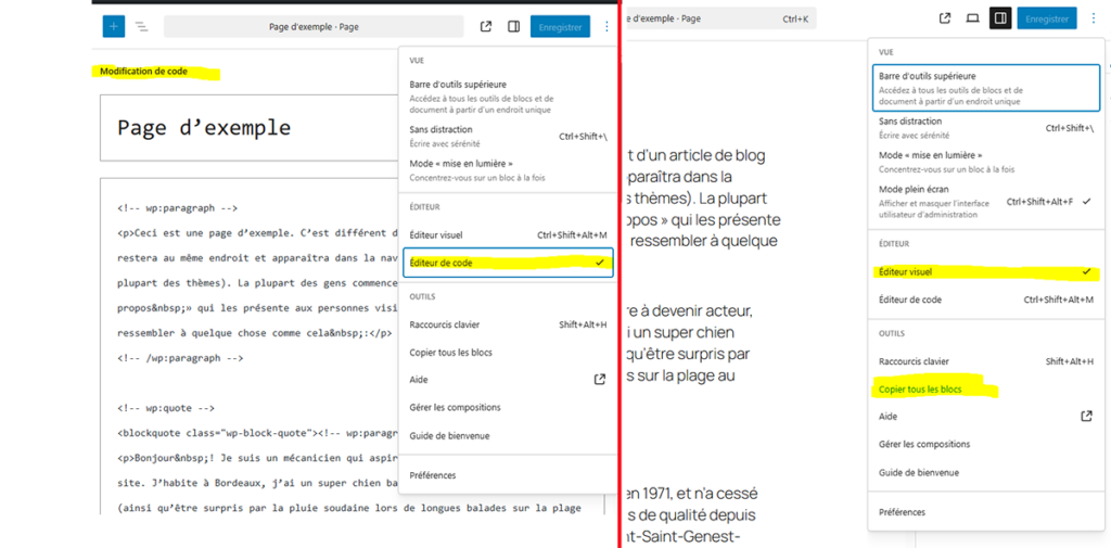 deux méthodes de copie
Éditeur visuel : bouton Copier tous les blocs + éditeur de code avec le contenu source