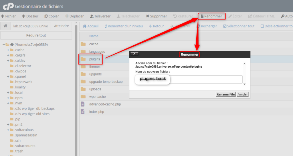 Renommage du dossier plugins via le gestionnaire de fichiers