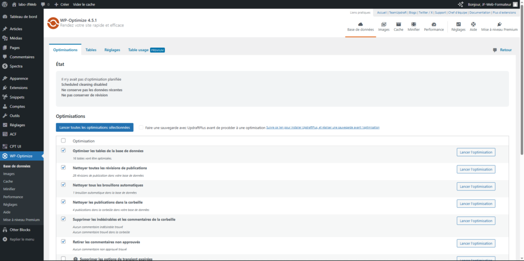 Interface WP-Optimize, onglet Base de données